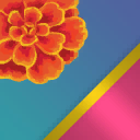 Catrina
(Variant 1 Living)